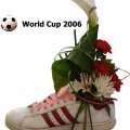 Чемпионат мира 2006
